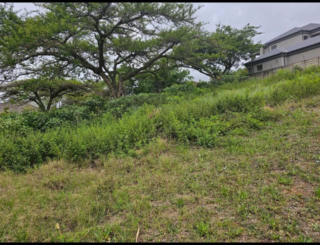 LAND FOR SALE IN LOUIS TRICHARDT